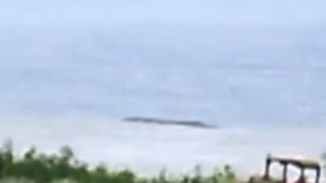 Screenshot_2016-05-11-19-29-28