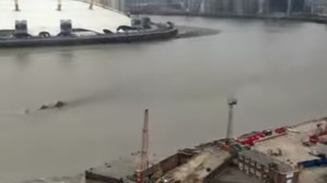 Screenshot_2016-04-01-11-43-21