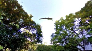 Screenshot_2016-02-19-15-31-54