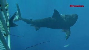 Screenshot_2015-12-22-18-26-54