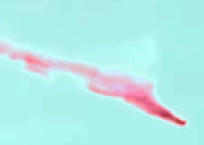 Screenshot_2016-04-29-08-36-14