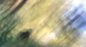 Screenshot_2016-03-19-00-56-59