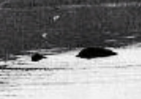 125ac49b.jpg