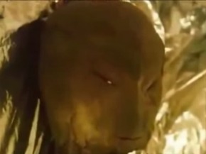 Screenshot_2015-11-28-18-42-31