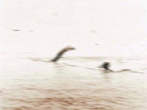 Effectplus_20151221_134012