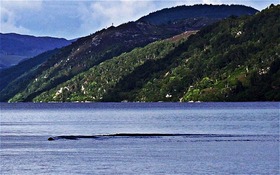 13d77c9f.jpg