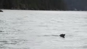 Screenshot_2016-06-29-04-24-04