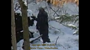 Screenshot_2015-11-29-05-16-34