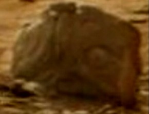 Effectplus_20151217_210421