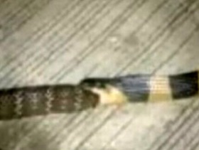 Screenshot_2015-11-20-13-29-08