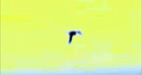 16b480f1.jpg