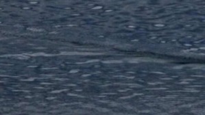 Screenshot_2016-03-01-22-46-02