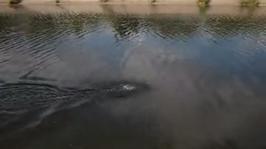 Screenshot_2016-07-01-03-31-19