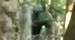 Screenshot_2016-03-10-10-26-59