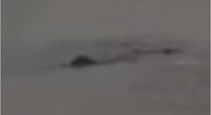 Screenshot_2016-04-12-22-34-28