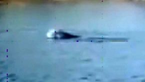 Screenshot_2016-01-25-04-55-14