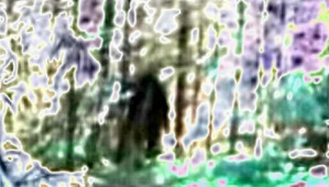 Effectplus_20160319_010212