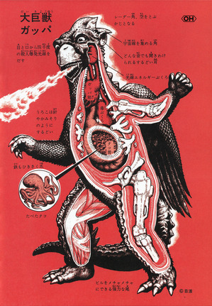 ku1mmbhr7tgo90976nvr