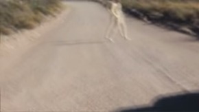 Screenshot_2015-11-26-18-16-40