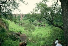 19746142.jpg