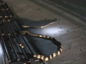 Screenshot_2015-11-20-13-32-04