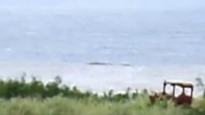 Screenshot_2016-05-11-19-29-22