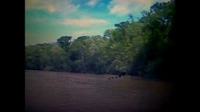 Screenshot_2015-12-04-21-06-55