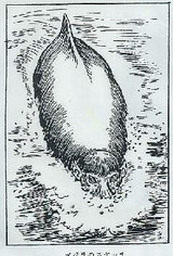 1b98ef92.jpg