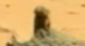 Screenshot_2016-05-21-17-34-51