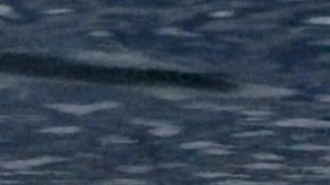 Screenshot_2016-03-01-22-46-20