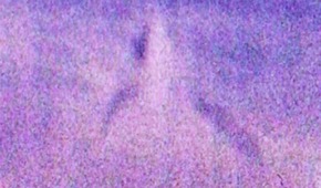 Effectplus_20160102_114450