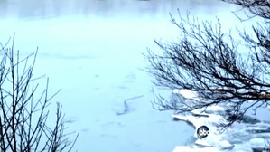 Screenshot_2016-02-19-01-48-31