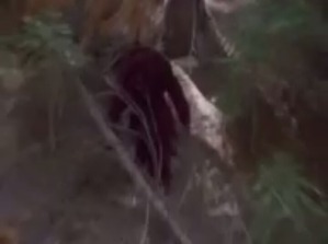 Screenshot_2016-03-17-07-05-17