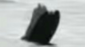 Screenshot_2016-06-29-04-32-09