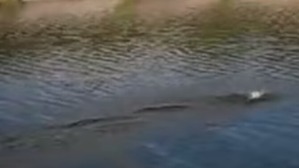 Screenshot_2016-07-01-03-42-32