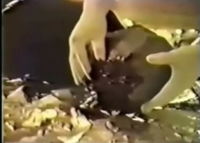 Screenshot_2015-11-28-18-44-08