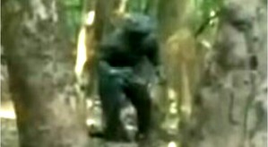 Screenshot_2016-03-10-10-28-51