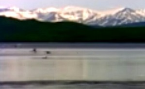 Screenshot_2016-02-14-19-58-09