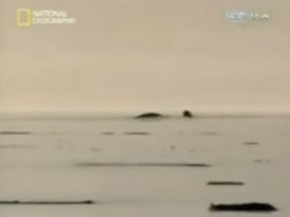 Screenshot_2015-12-28-23-26-31