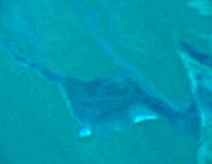 Screenshot_2016-02-04-15-59-34