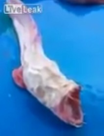 Screenshot_2016-04-30-08-06-34