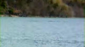 Screenshot_2016-05-26-17-54-33