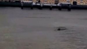 Screenshot_2016-04-12-22-28-32