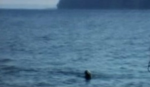 Screenshot_2016-03-31-03-44-04