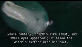 Screenshot_2016-01-15-14-10-25