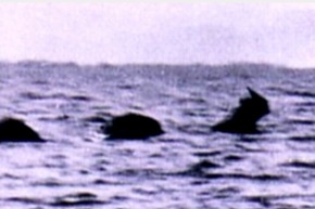 Screenshot_2016-01-27-09-14-25