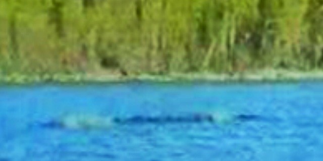 13SHOE・高野十座のブログ
《リアル写真》モンゴルのカナス湖の怪物【Mongolia kanas Lake Monster】
コメントトラックバック 高野 十座