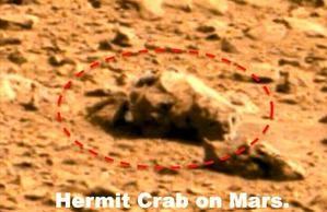 Screenshot_2016-01-31-08-23-52