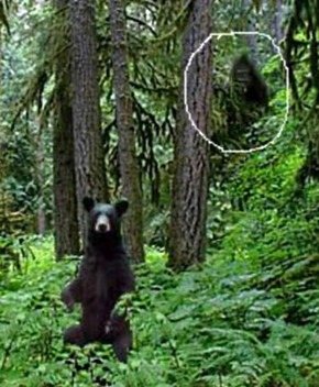 2775b02e23e5bcb51e2b4dbb8fd7c39e