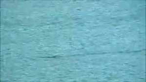 Effectplus_20160228_053826